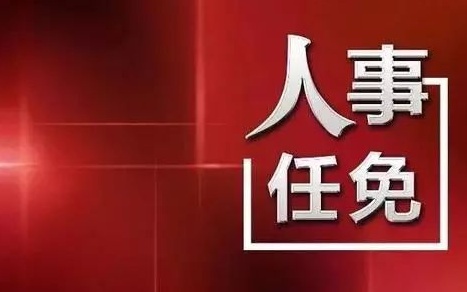 中央最新人事任免，蔡某某的新職務(wù)與未來展望